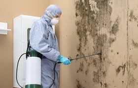 Best Real Estate Mold Inspection in USA